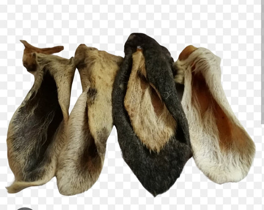 Lambs ears ( with fur)