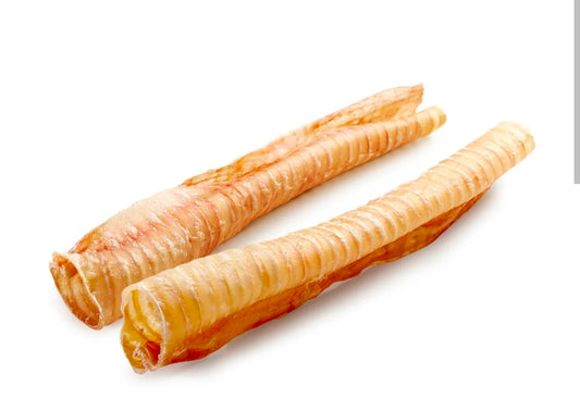 Long buffalo trachea